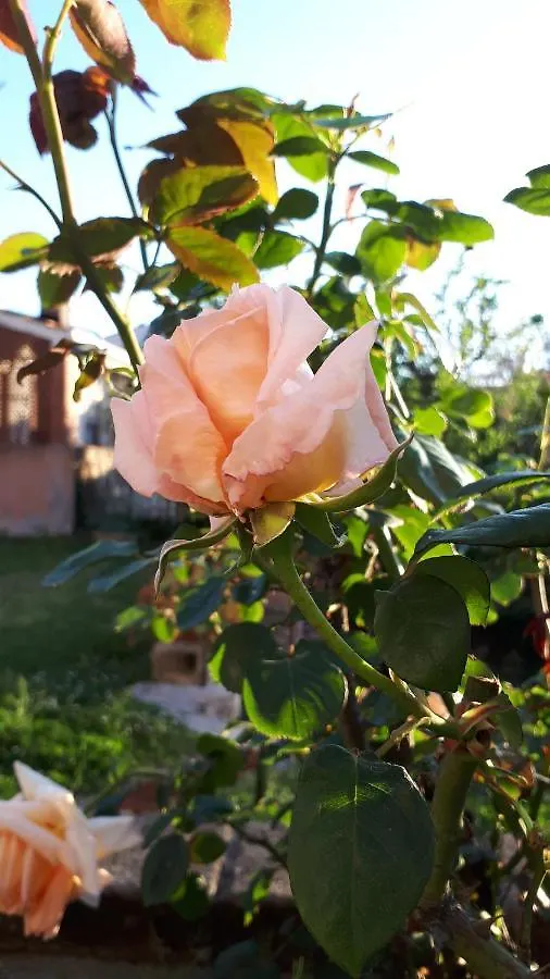 Casa Di Giulia Apartment Santa Luce