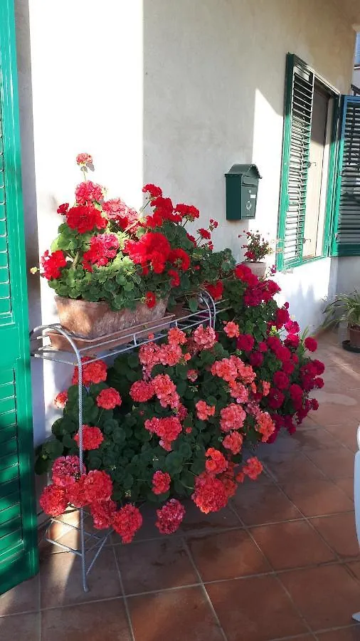 Casa Di Giulia Apartment Santa Luce