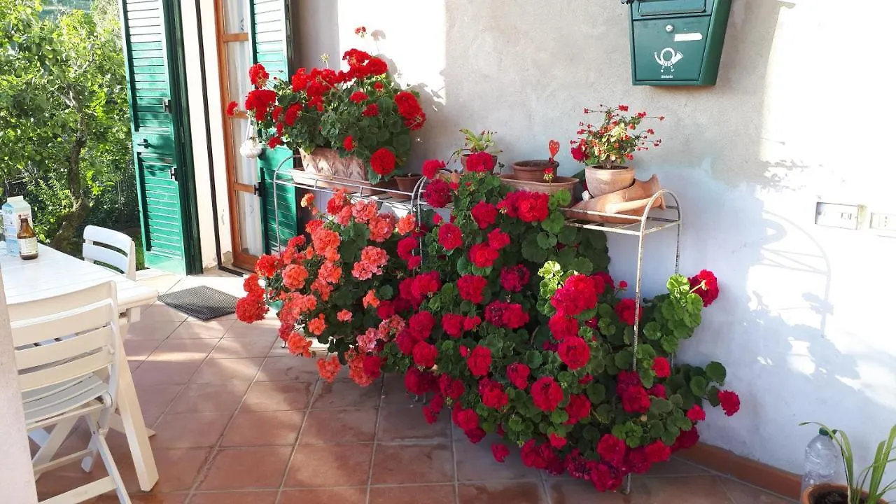 Casa Di Giulia Apartment Santa Luce 0*,  Italy