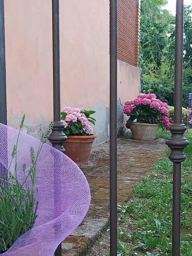 Casa Di Giulia Apartment Santa Luce