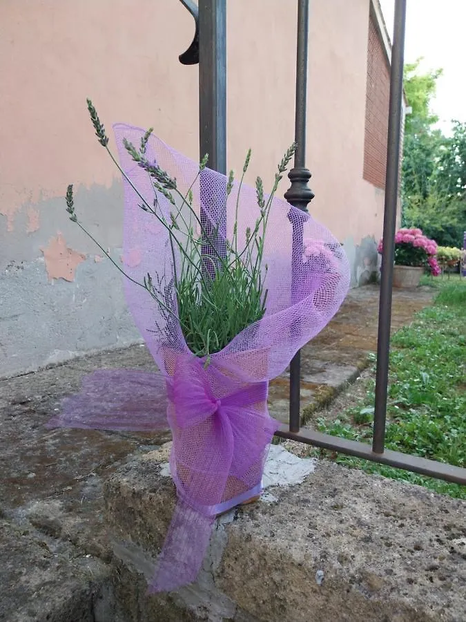 Casa Di Giulia Apartment Santa Luce Italy