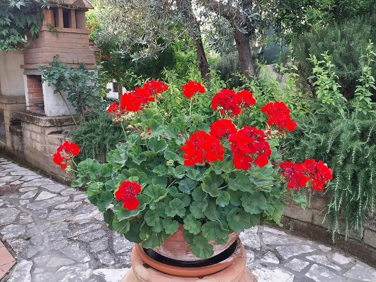 Casa Di Giulia Apartment Santa Luce Italy
